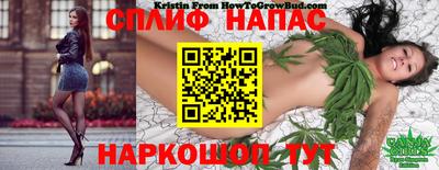 хмурый Краснознаменск